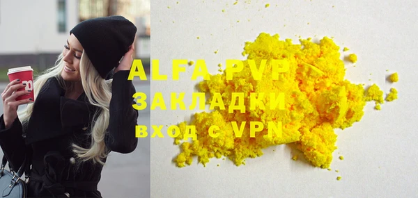 стаф Алзамай