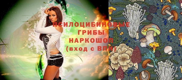стаф Алзамай