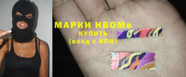 стаф Алзамай