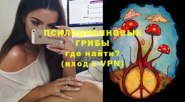 ALPHA PVP Алексин