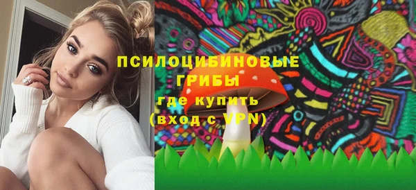 стаф Алзамай