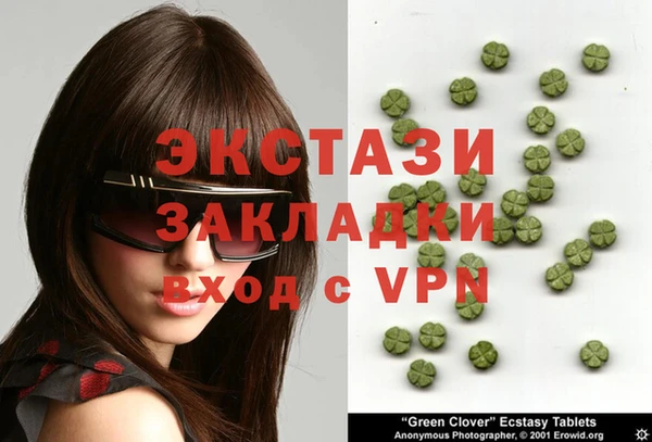 стаф Алзамай