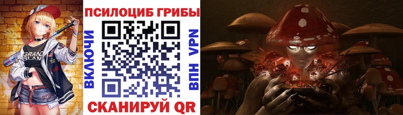 хочу   Сосенский  Псилоцибиновые грибы Psilocybe 